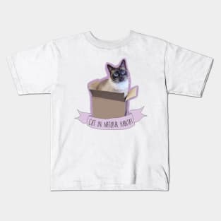 Cat in a box Kids T-Shirt